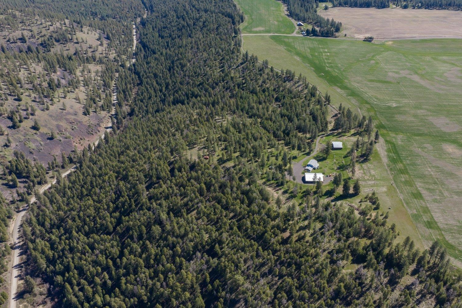 35405 Nye Rd N Rd - Photo 49