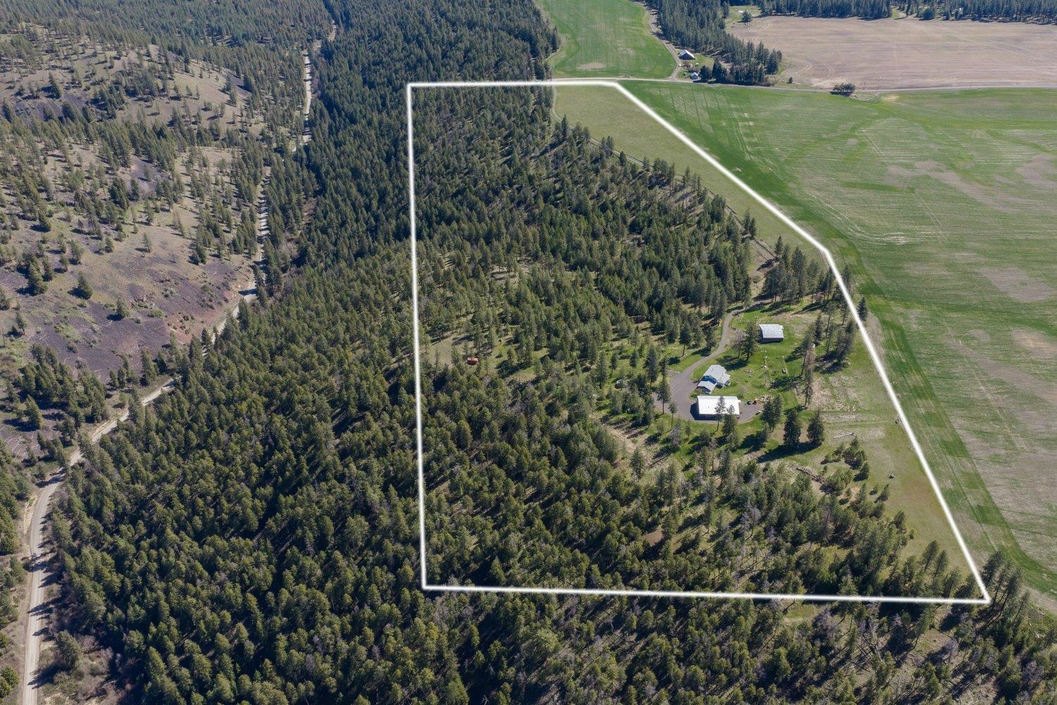 35405 Nye Rd N Rd - Photo 50