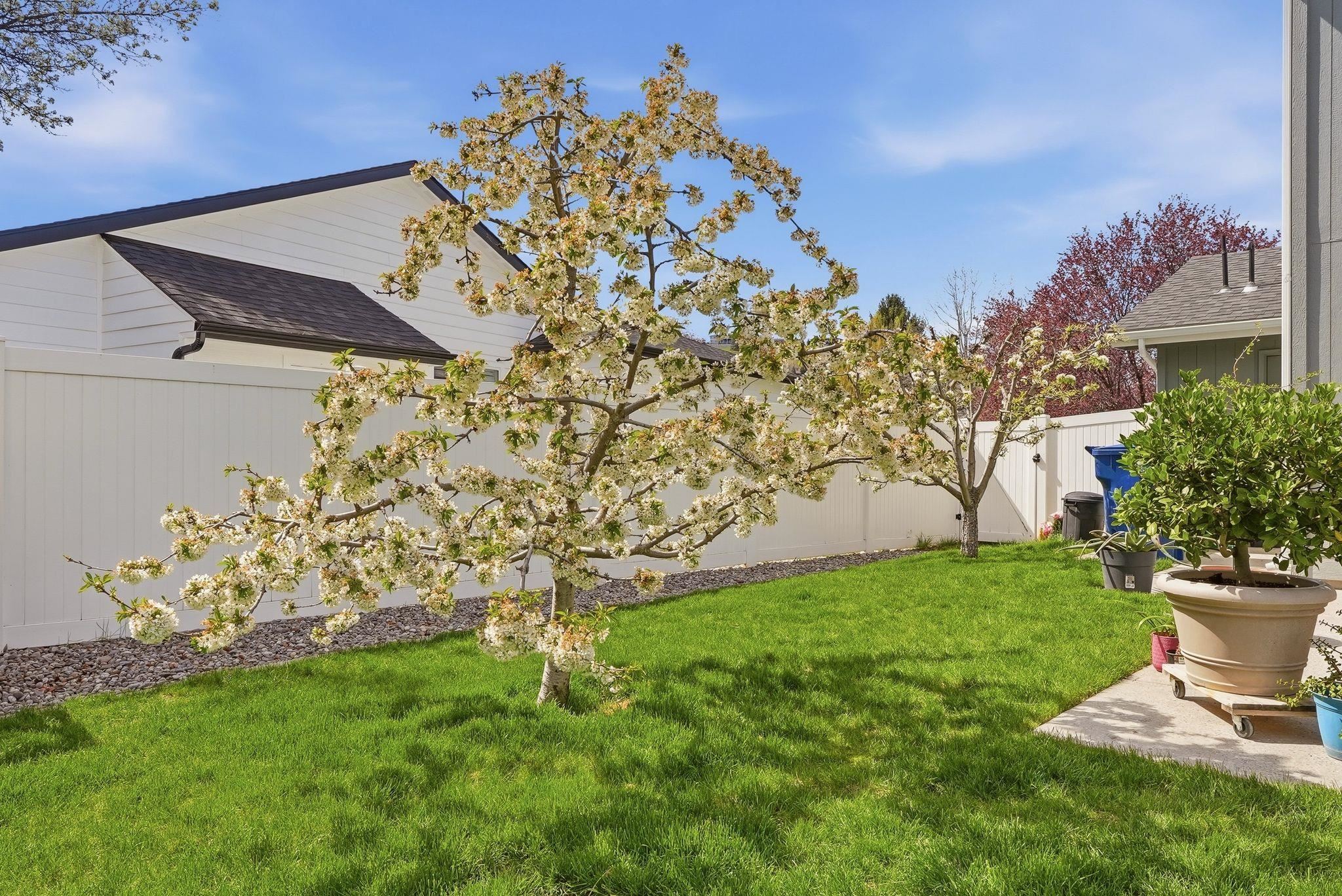 22914 Settler Dr - Photo 24