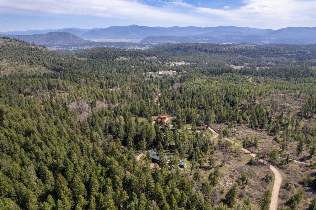 3621C Lane Mountain Way - Photo 40