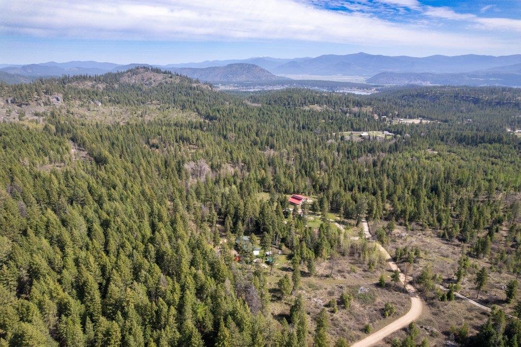 3621C Lane Mountain Way - Photo 46