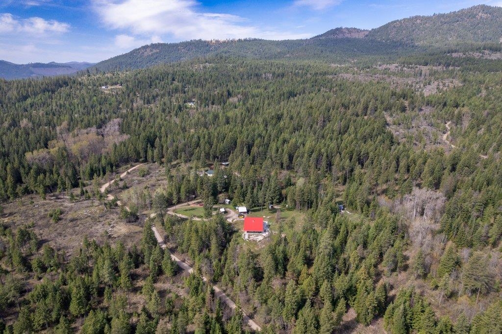3621C Lane Mountain Way - Photo 48