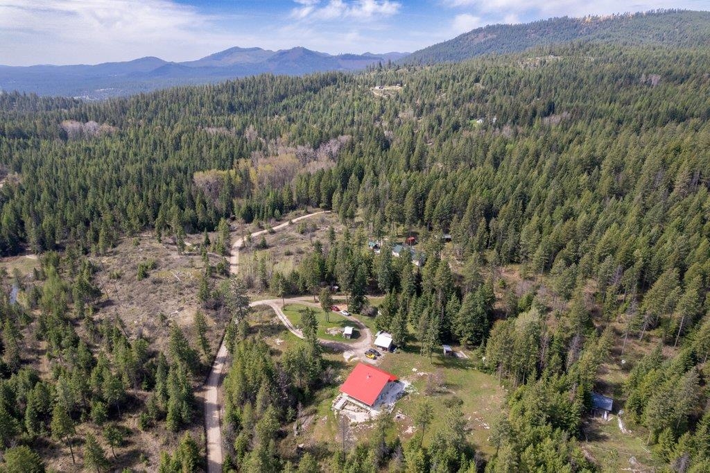 3621C Lane Mountain Way - Photo 49