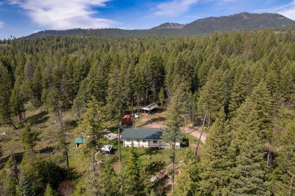 3621C Lane Mountain Way - Photo 50