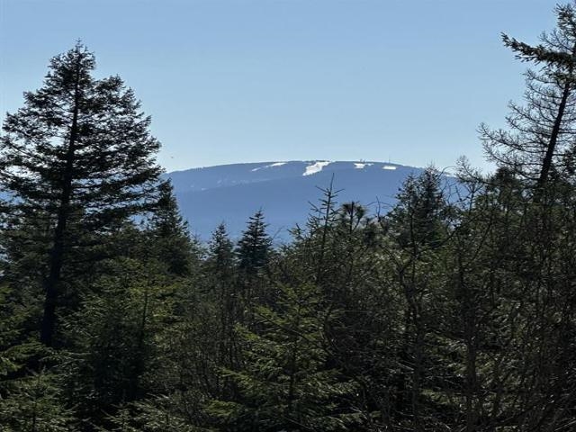 TBD Waldrons Ln - Photo 2