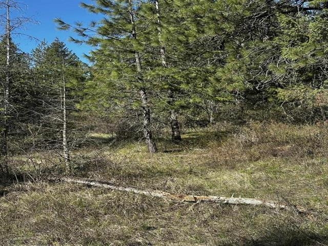 TBD Waldrons Ln - Photo 7