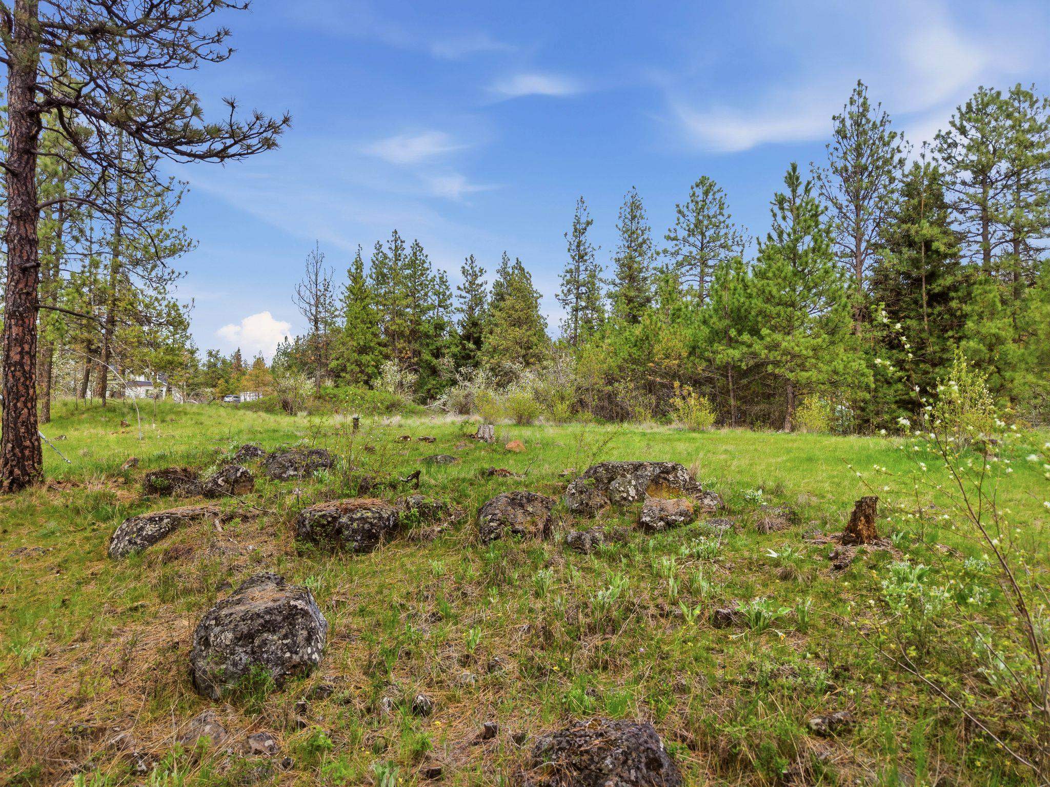 3919 S San Diego Rd - Photo 11
