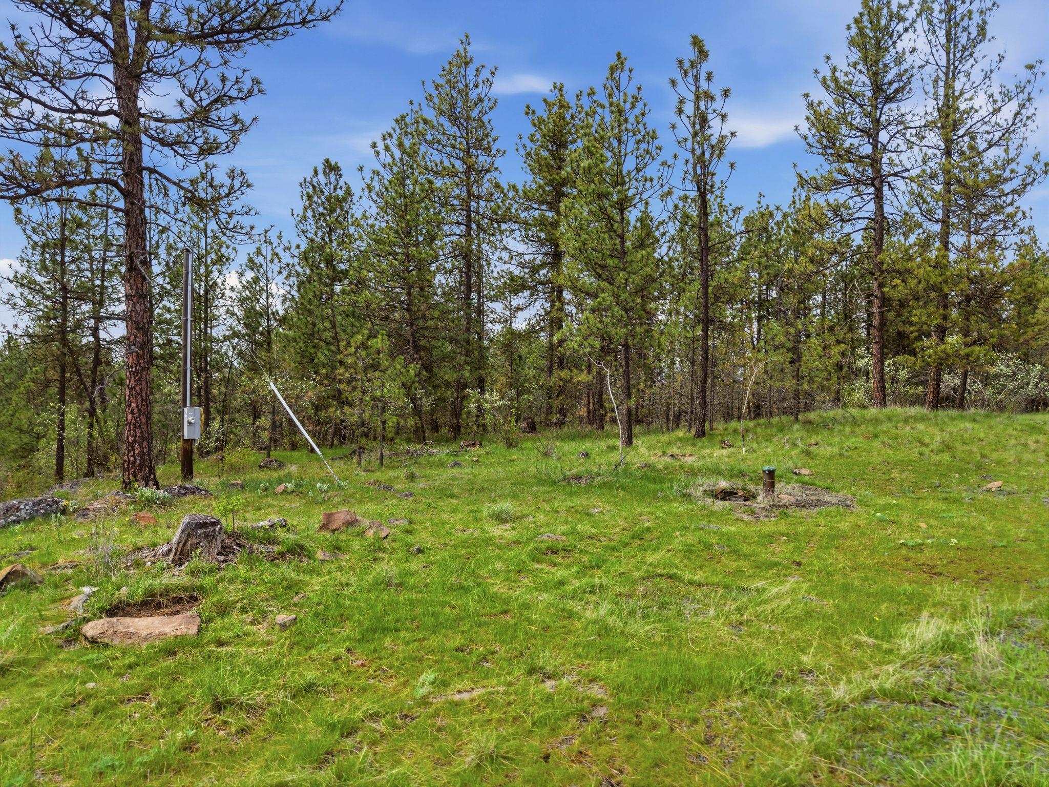 3919 S San Diego Rd - Photo 4