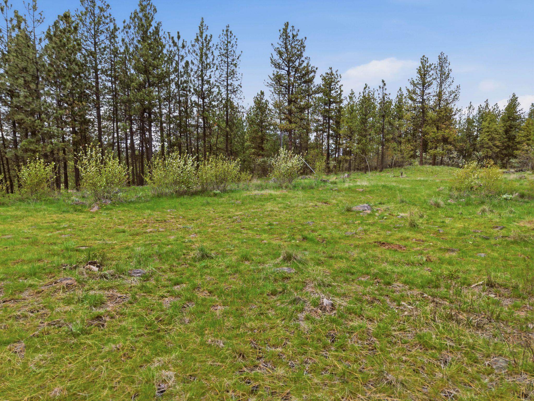 3919 S San Diego Rd - Photo 7