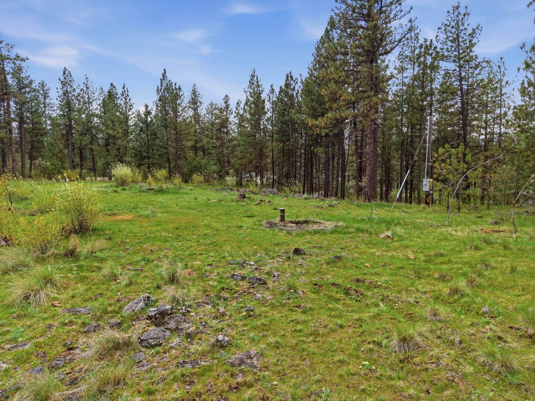 3919 S San Diego Rd - Photo 8