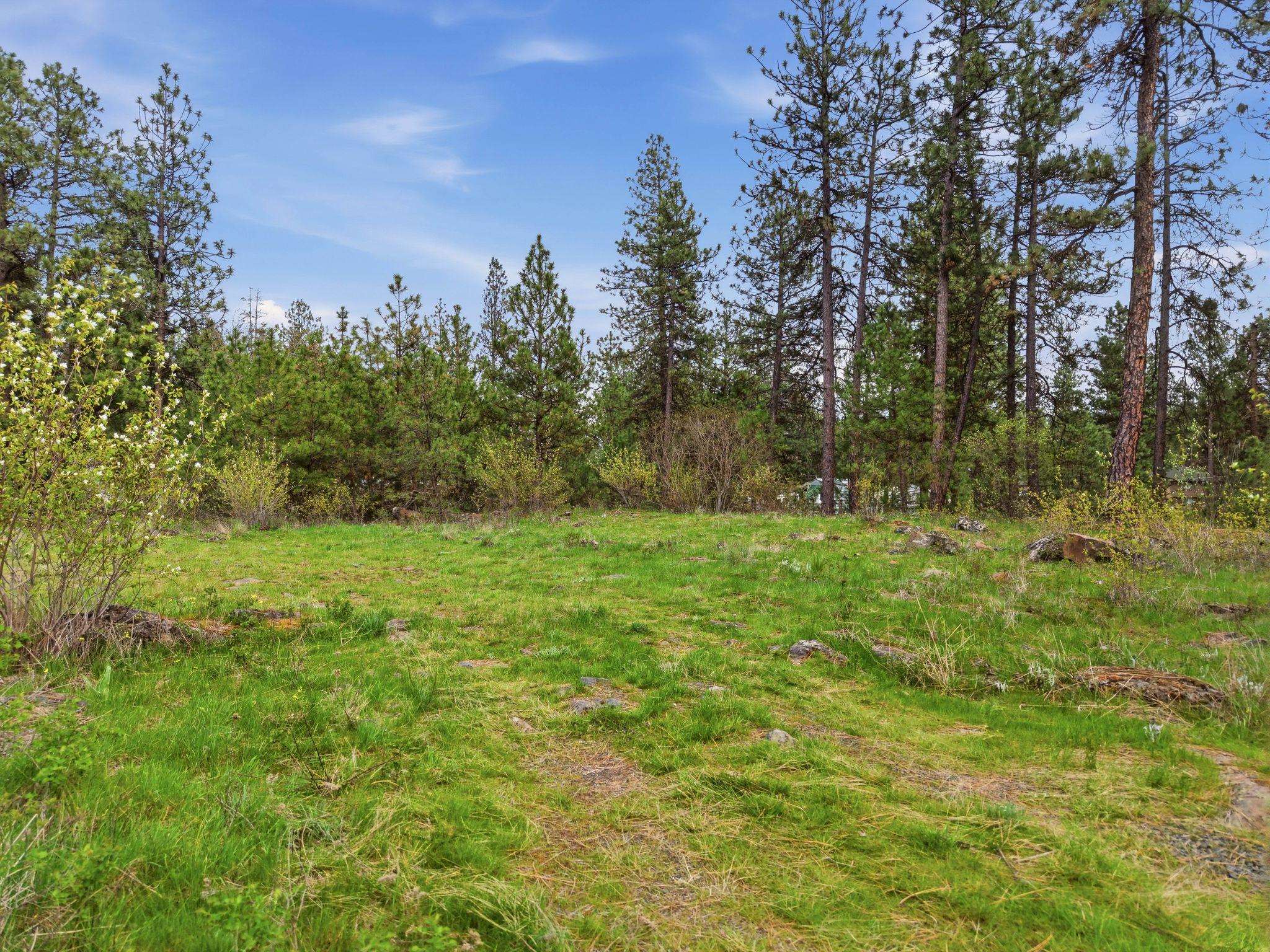 3919 S San Diego Rd - Photo 10