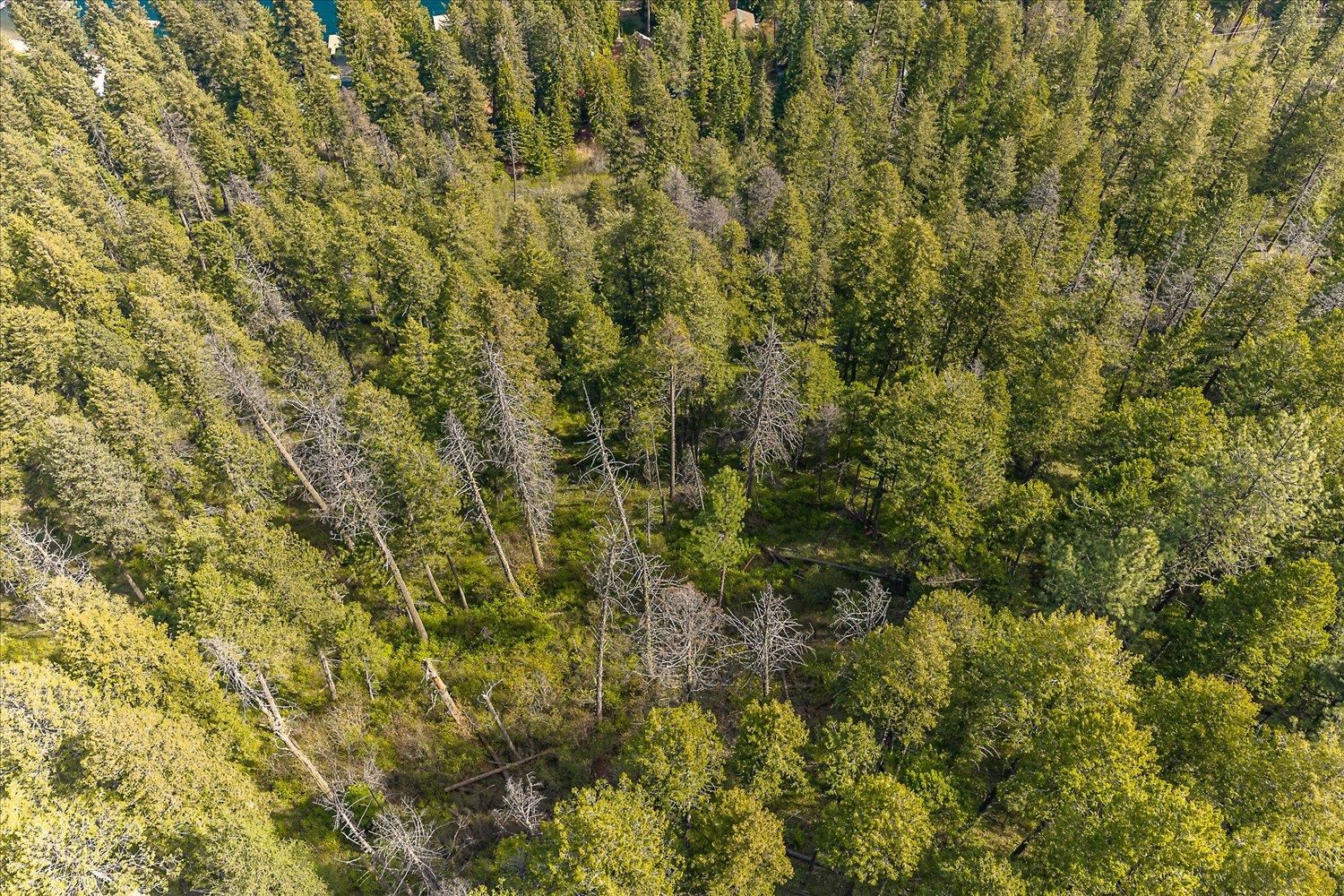 43989 Silver Beach Rd - Photo 27