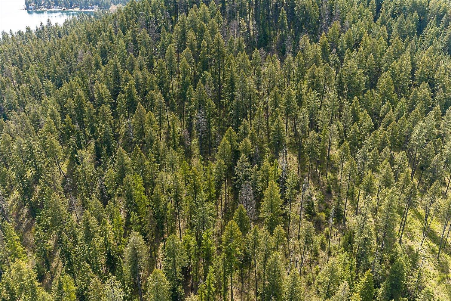 43989 Silver Beach Rd - Photo 29