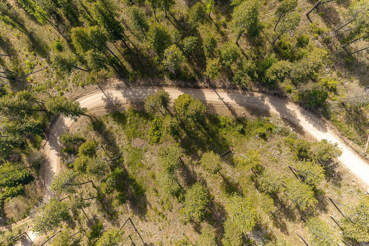 43989 Silver Beach Rd - Photo 30