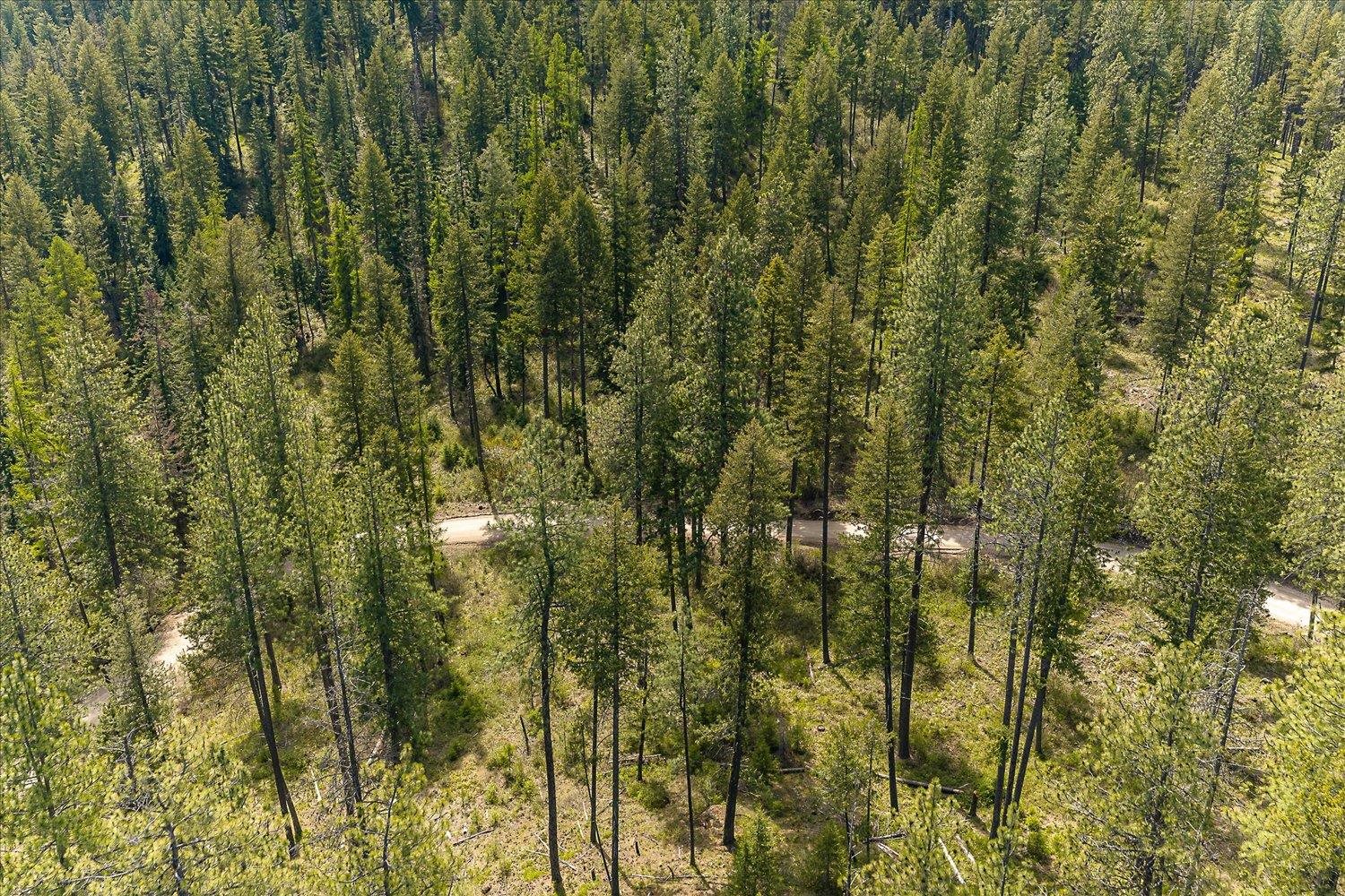 43989 Silver Beach Rd - Photo 32