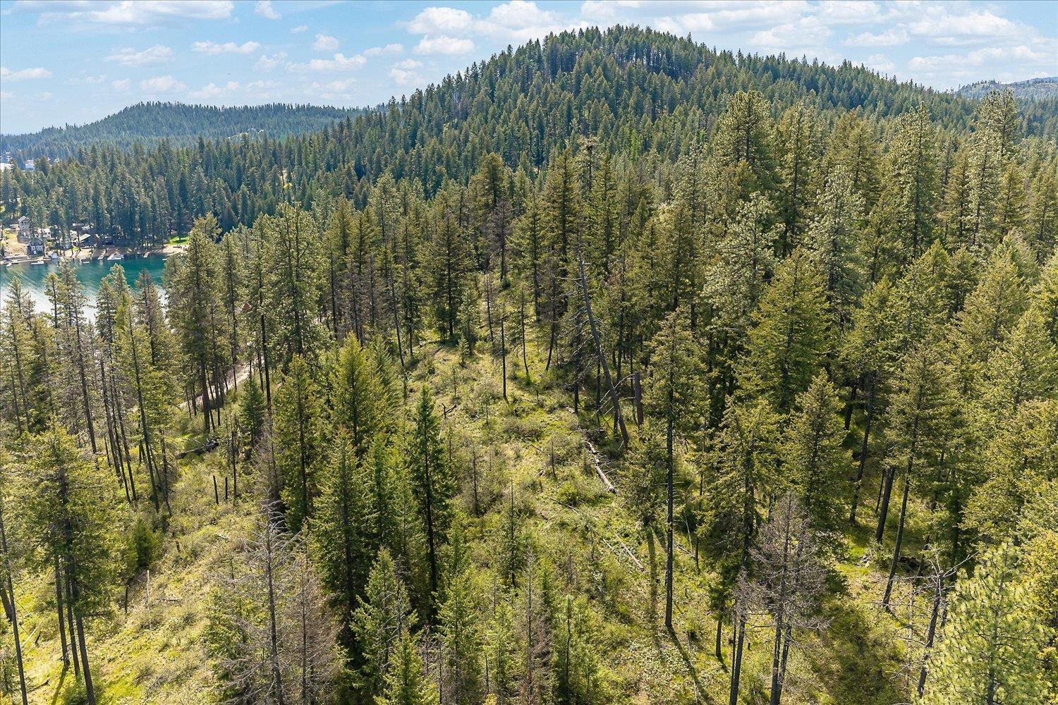 43989 Silver Beach Rd - Photo 33