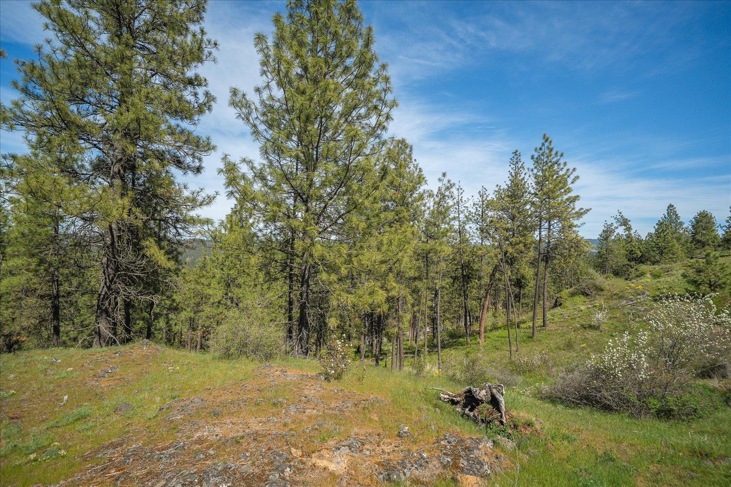 712 W Basalt Ridge Dr - Photo 43