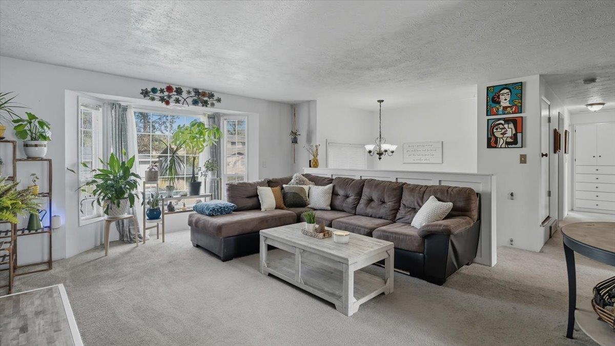 5021 W Rosewood Ave - Photo 4