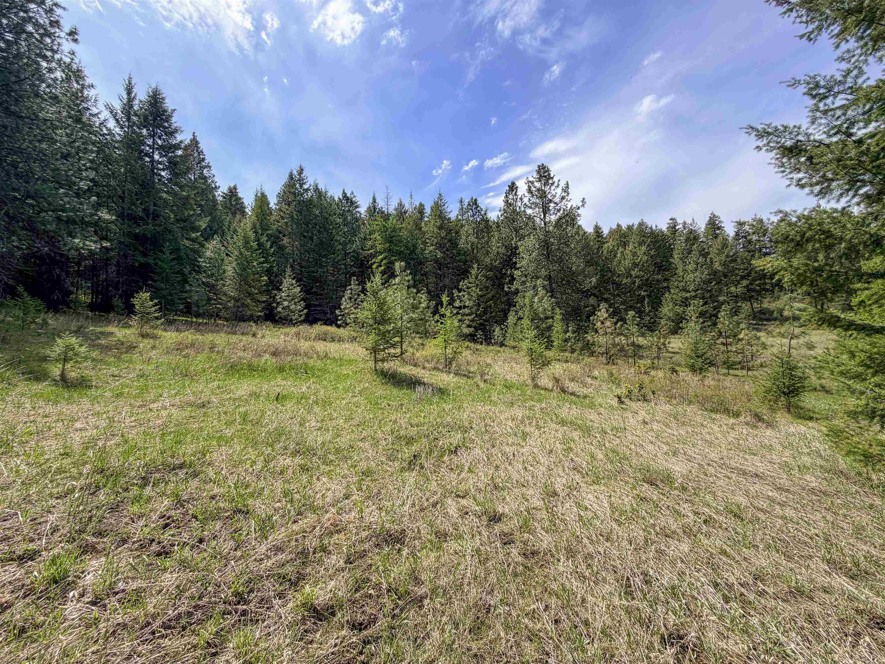 822-J Barzee Rd - Photo 1