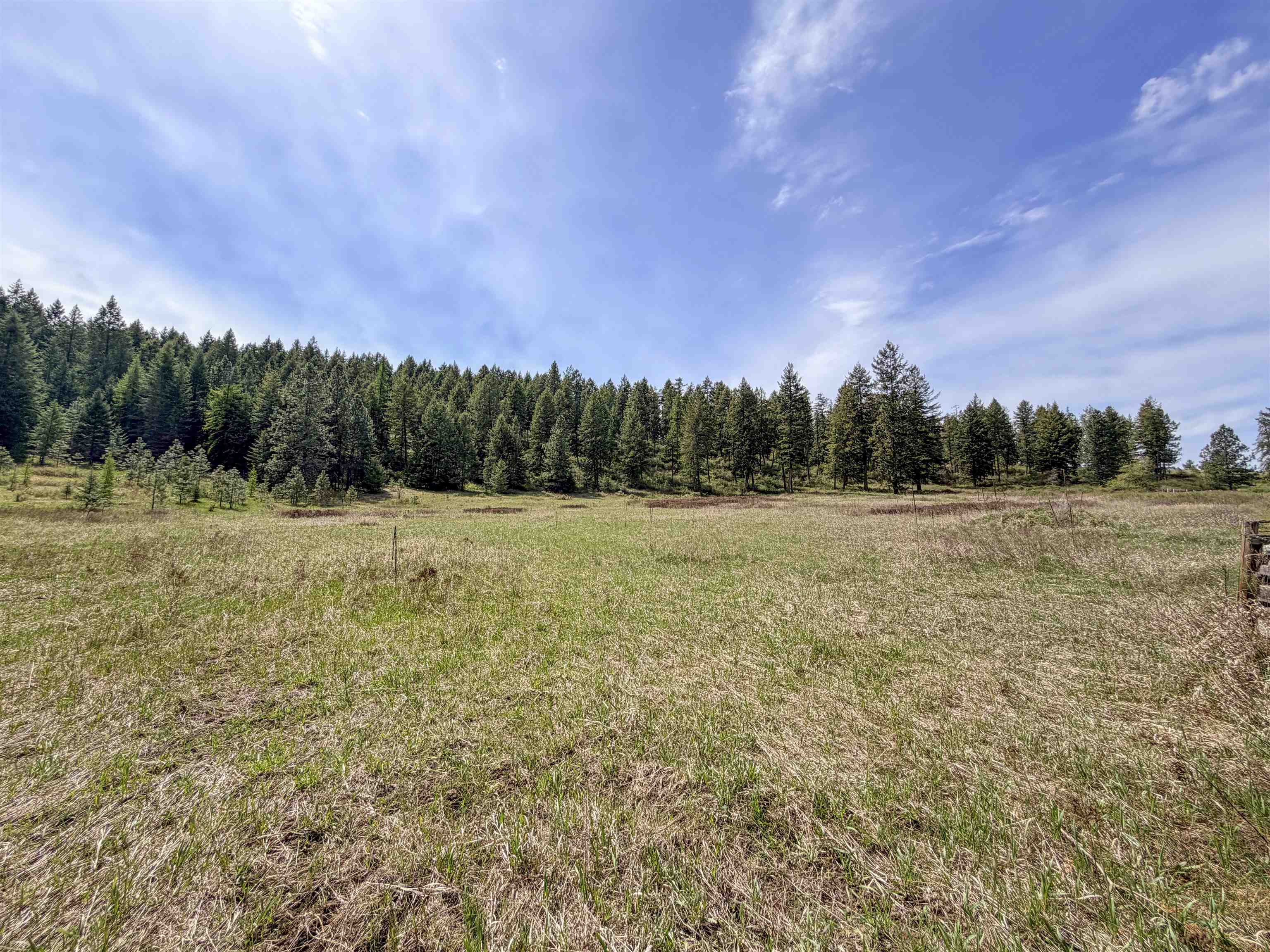 822-J Barzee Rd - Photo 2