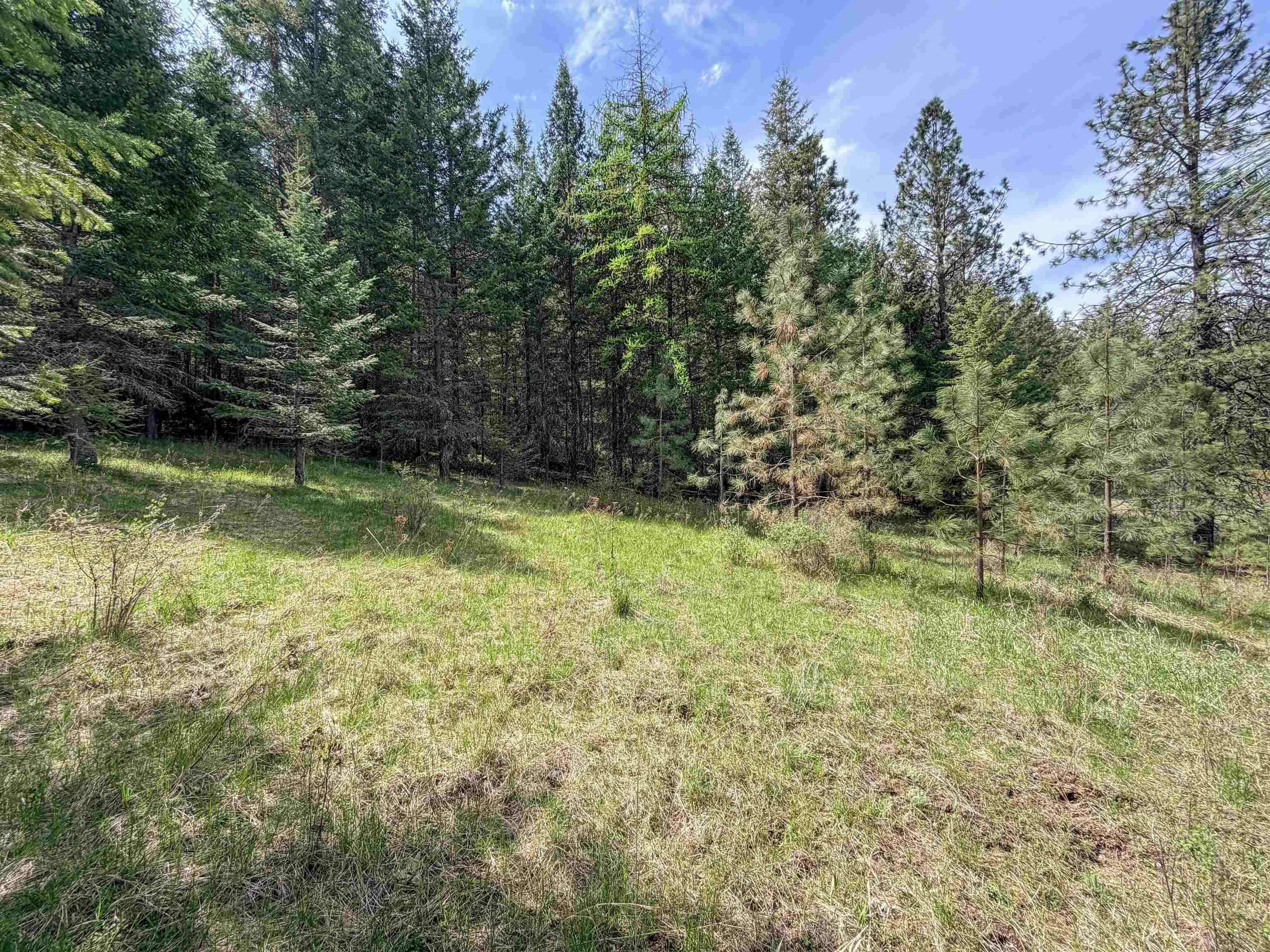 822-J Barzee Rd - Photo 14