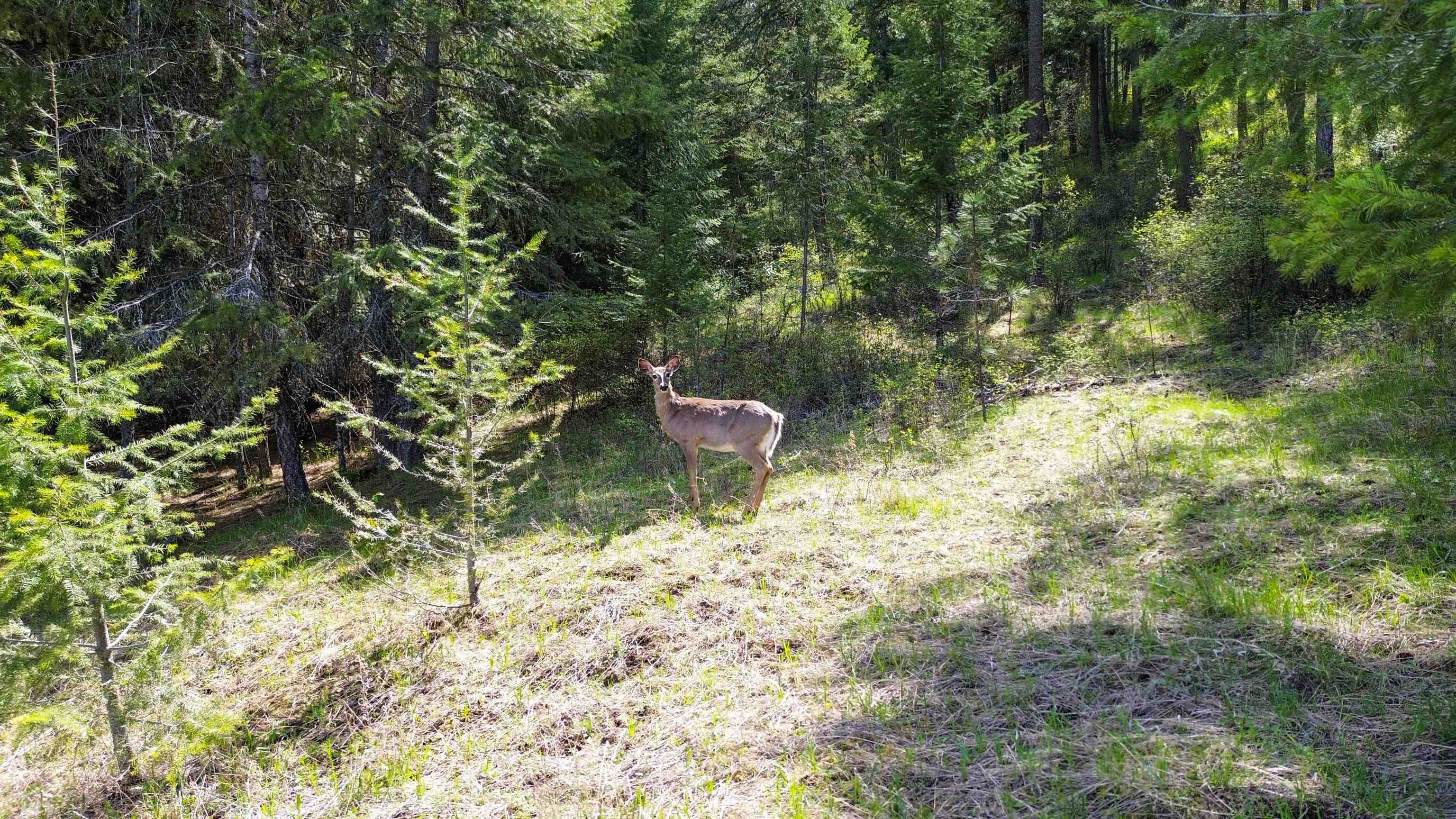 822-J Barzee Rd - Photo 15