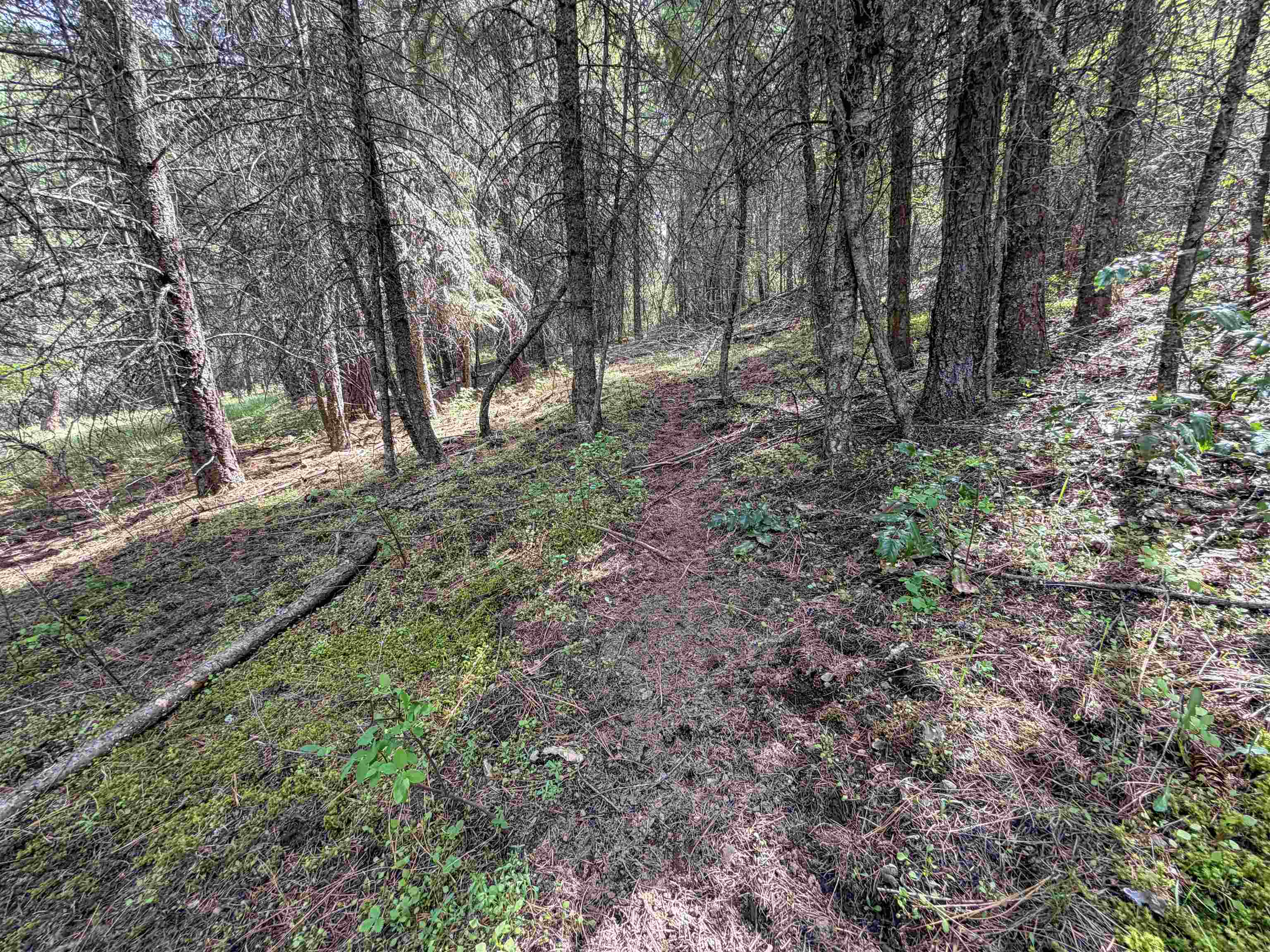 822-J Barzee Rd - Photo 18