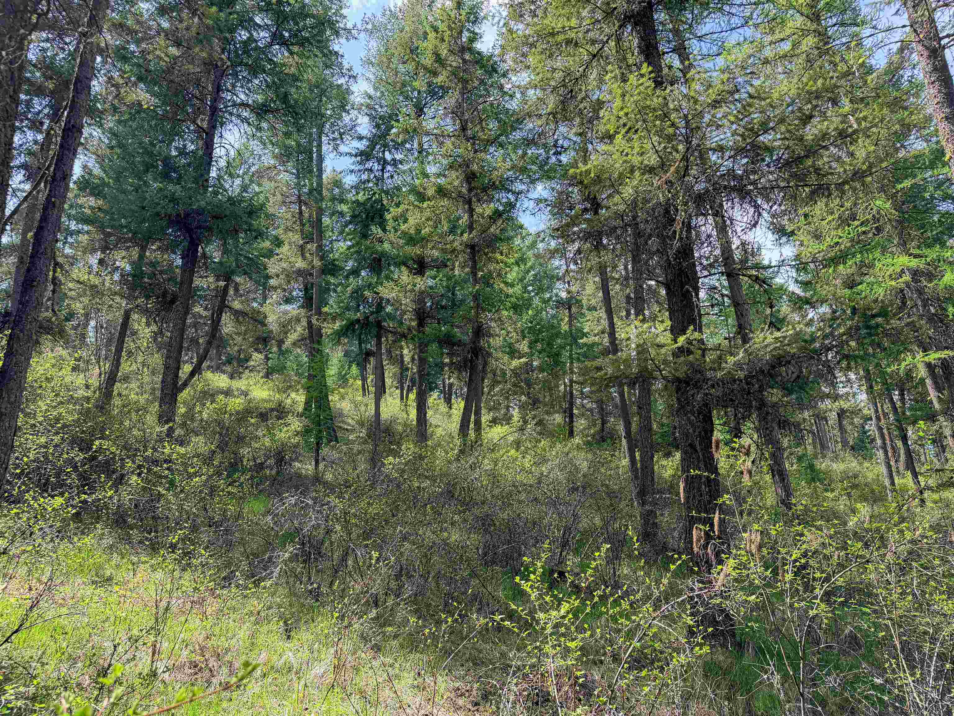 822-J Barzee Rd - Photo 19