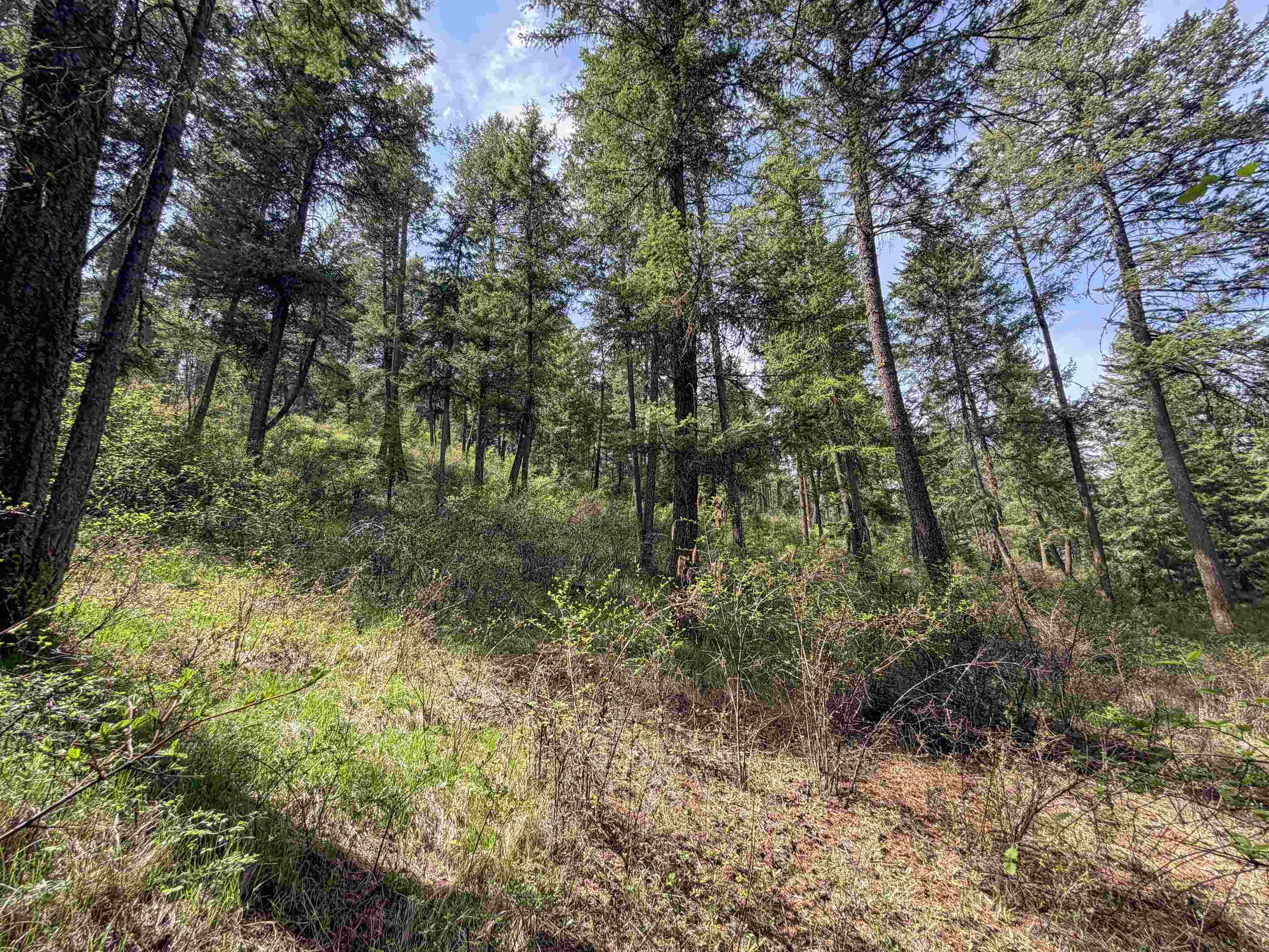 822-J Barzee Rd - Photo 20