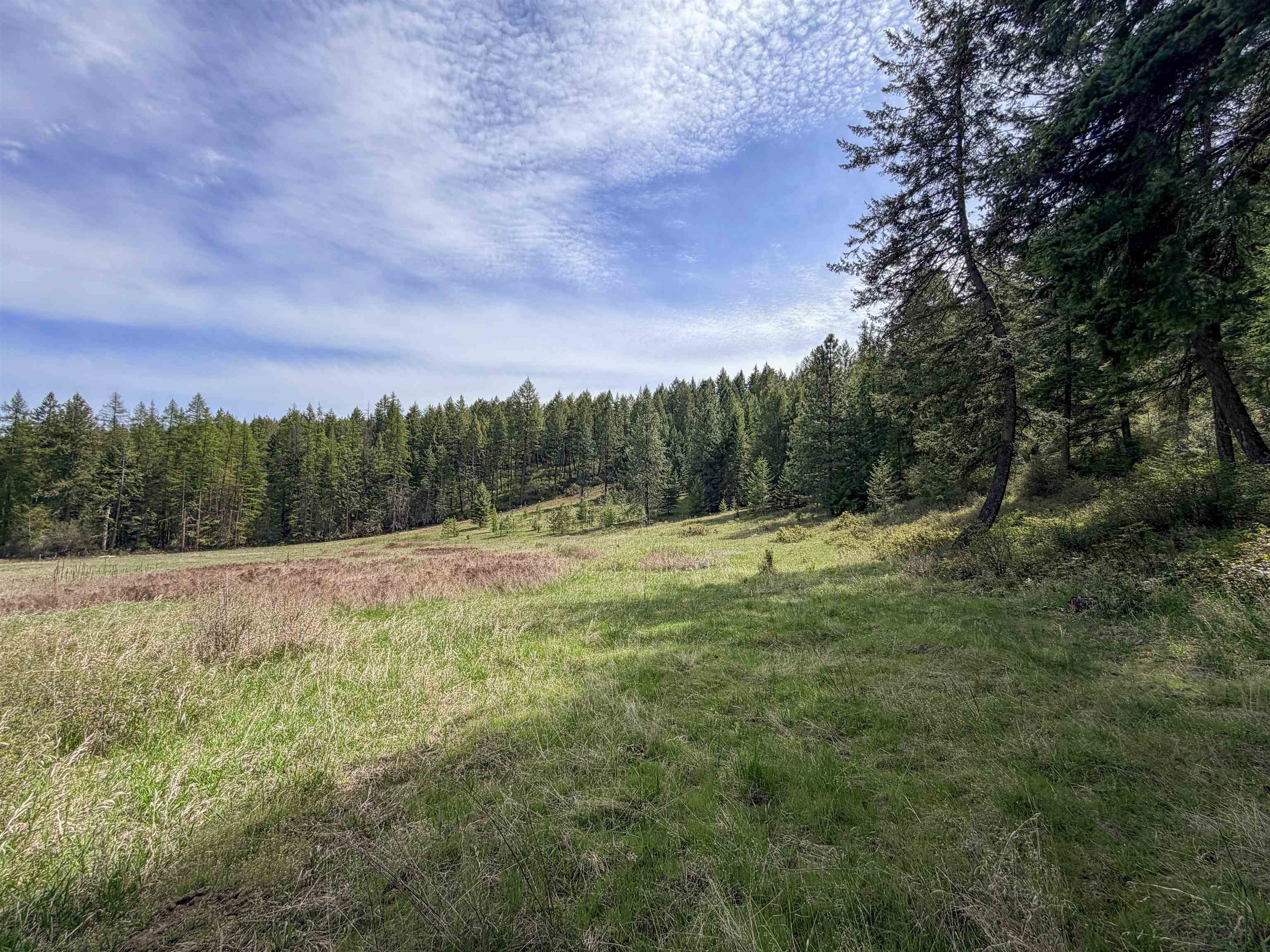 822-J Barzee Rd - Photo 3