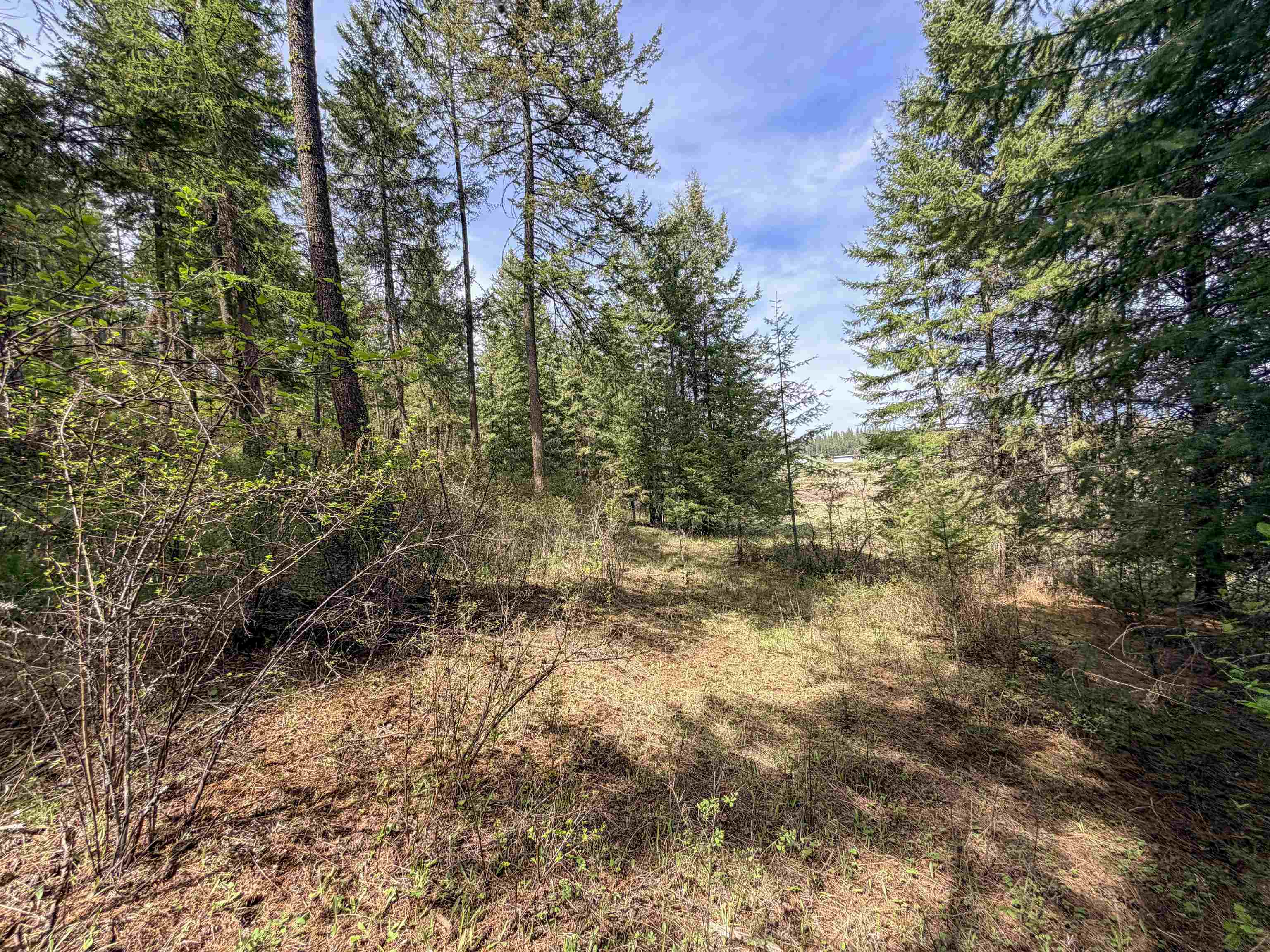 822-J Barzee Rd - Photo 21