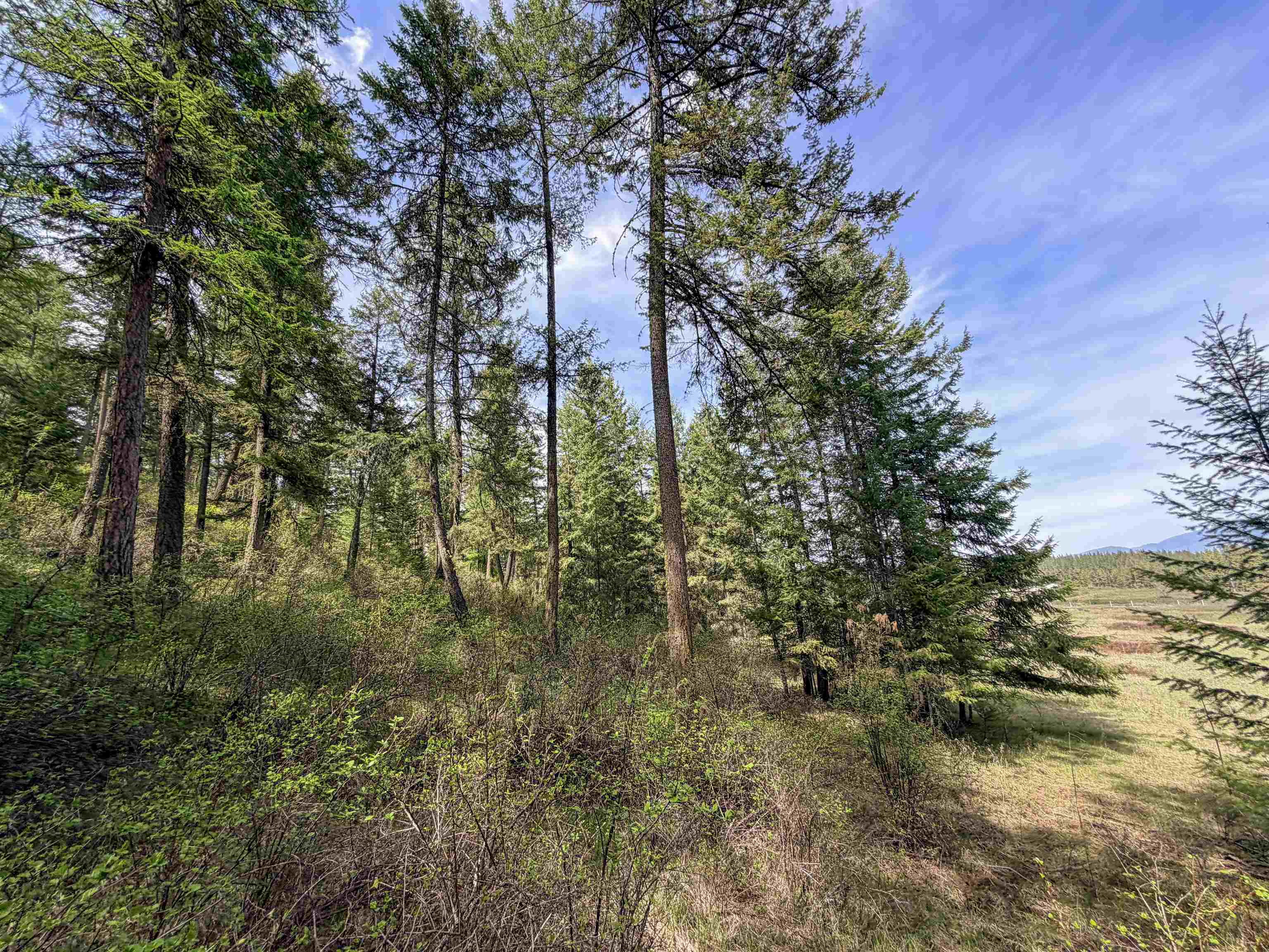 822-J Barzee Rd - Photo 22