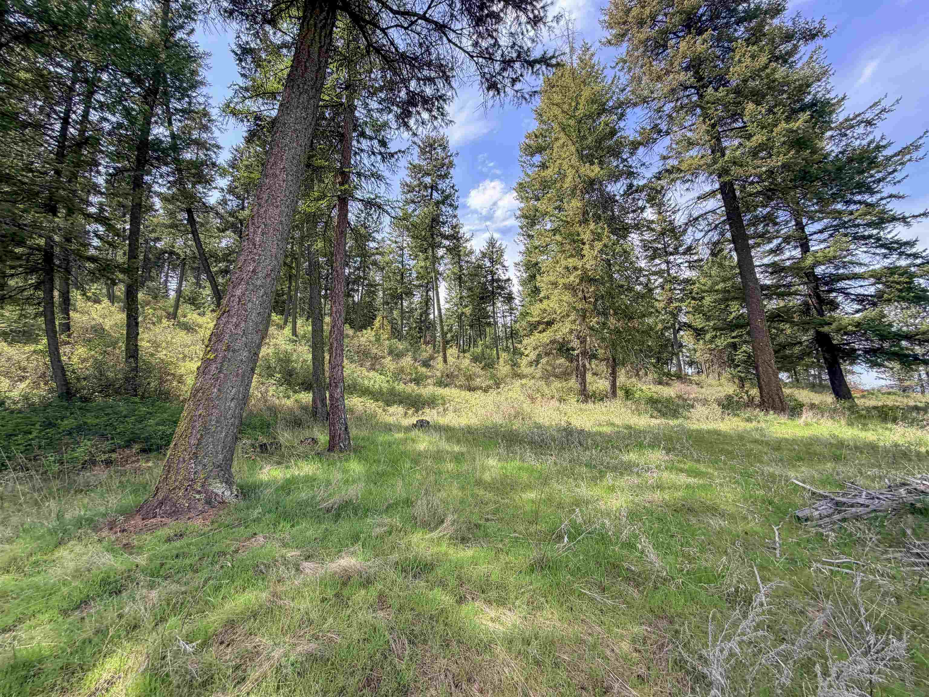 822-J Barzee Rd - Photo 25