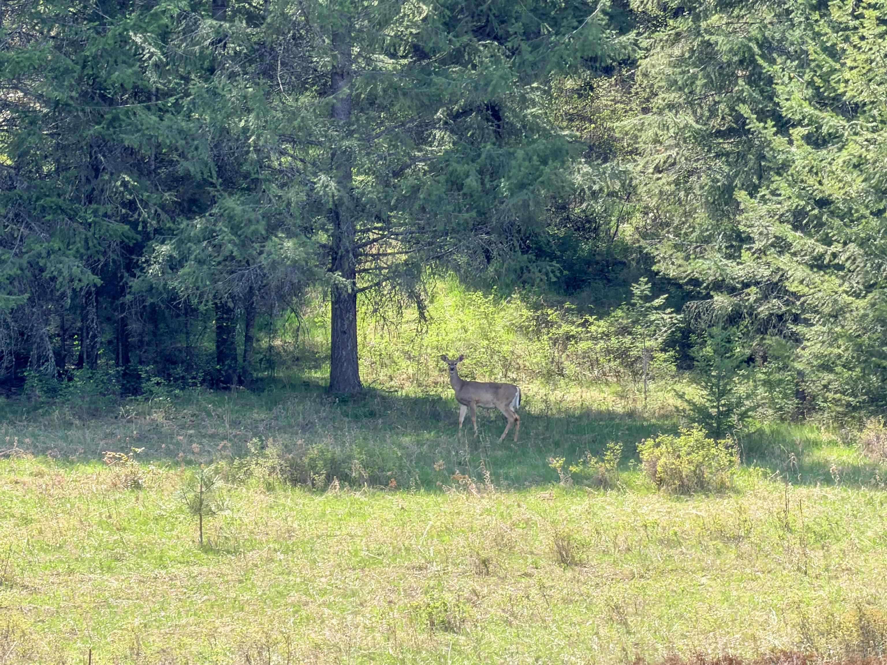 822-J Barzee Rd - Photo 31