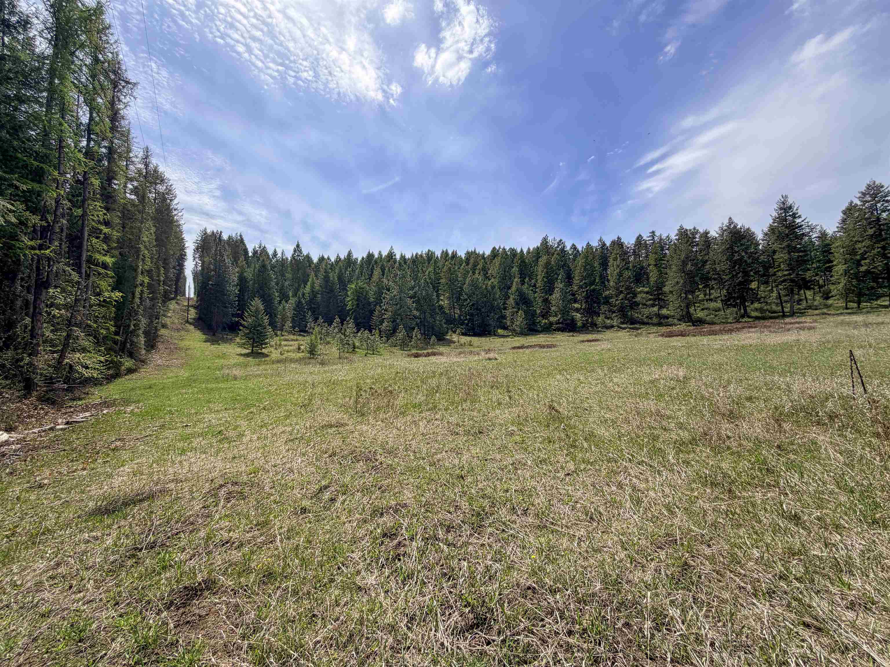 822-J Barzee Rd - Photo 7