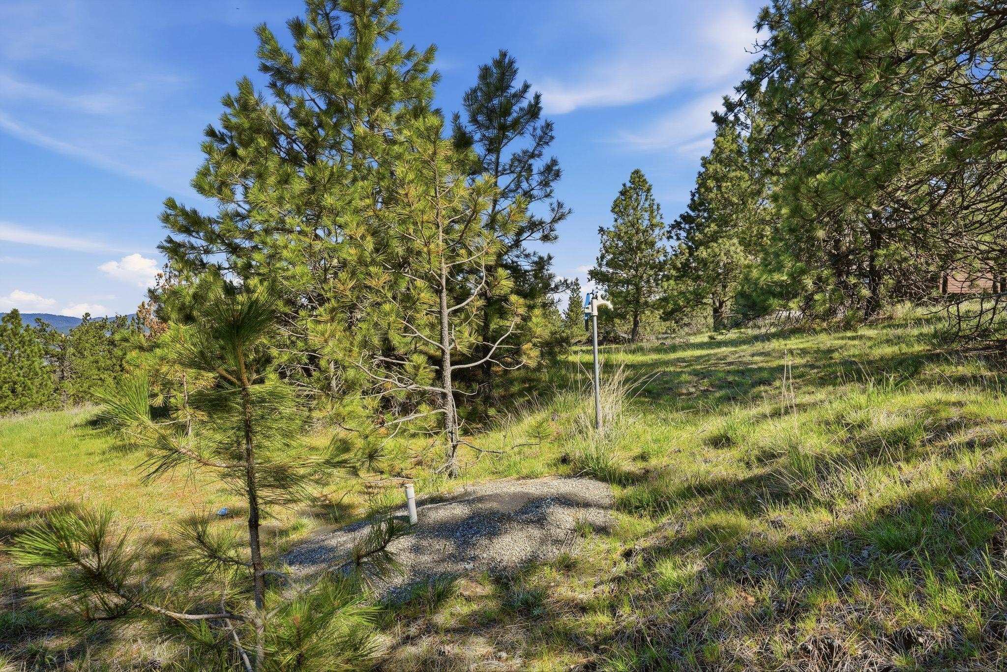 19 Greenridge Dr - Photo 10