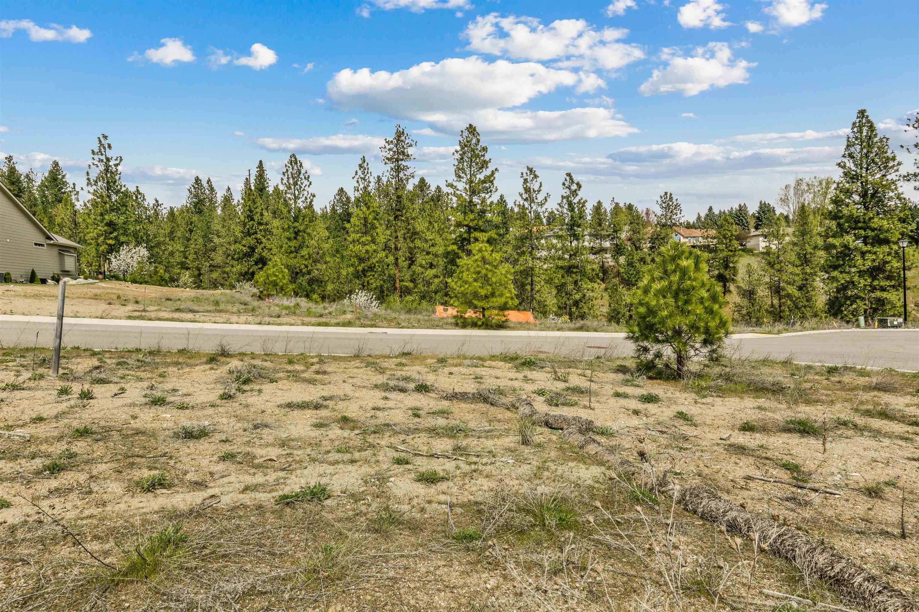 5103 Scenic Ln - Photo 1