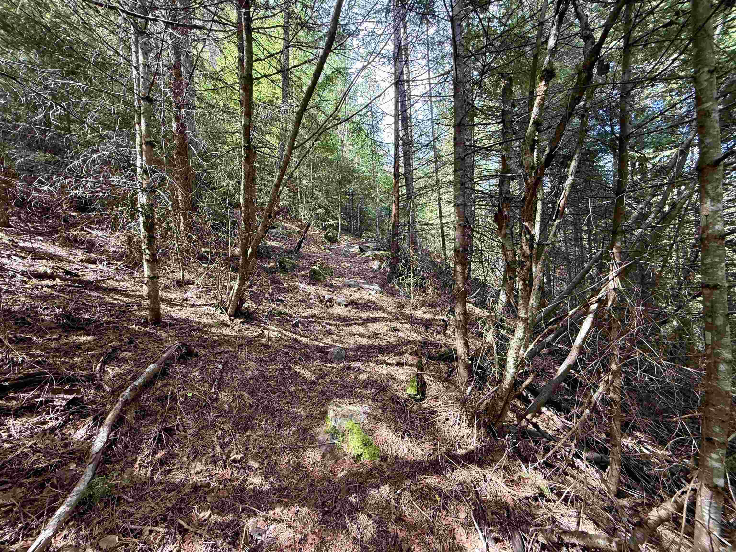 1264 McCloud Creek Rd - Photo 27
