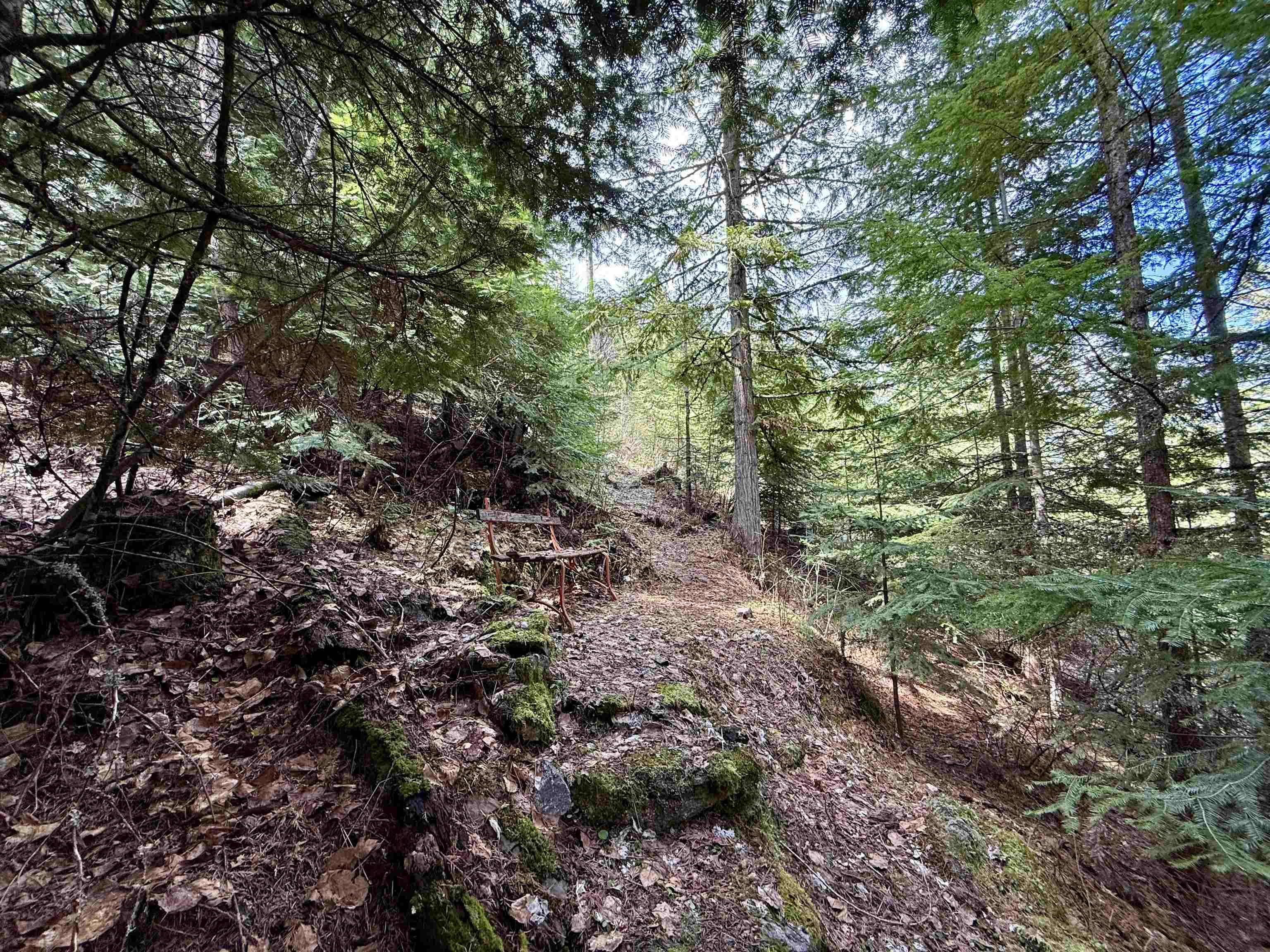 1264 McCloud Creek Rd - Photo 28