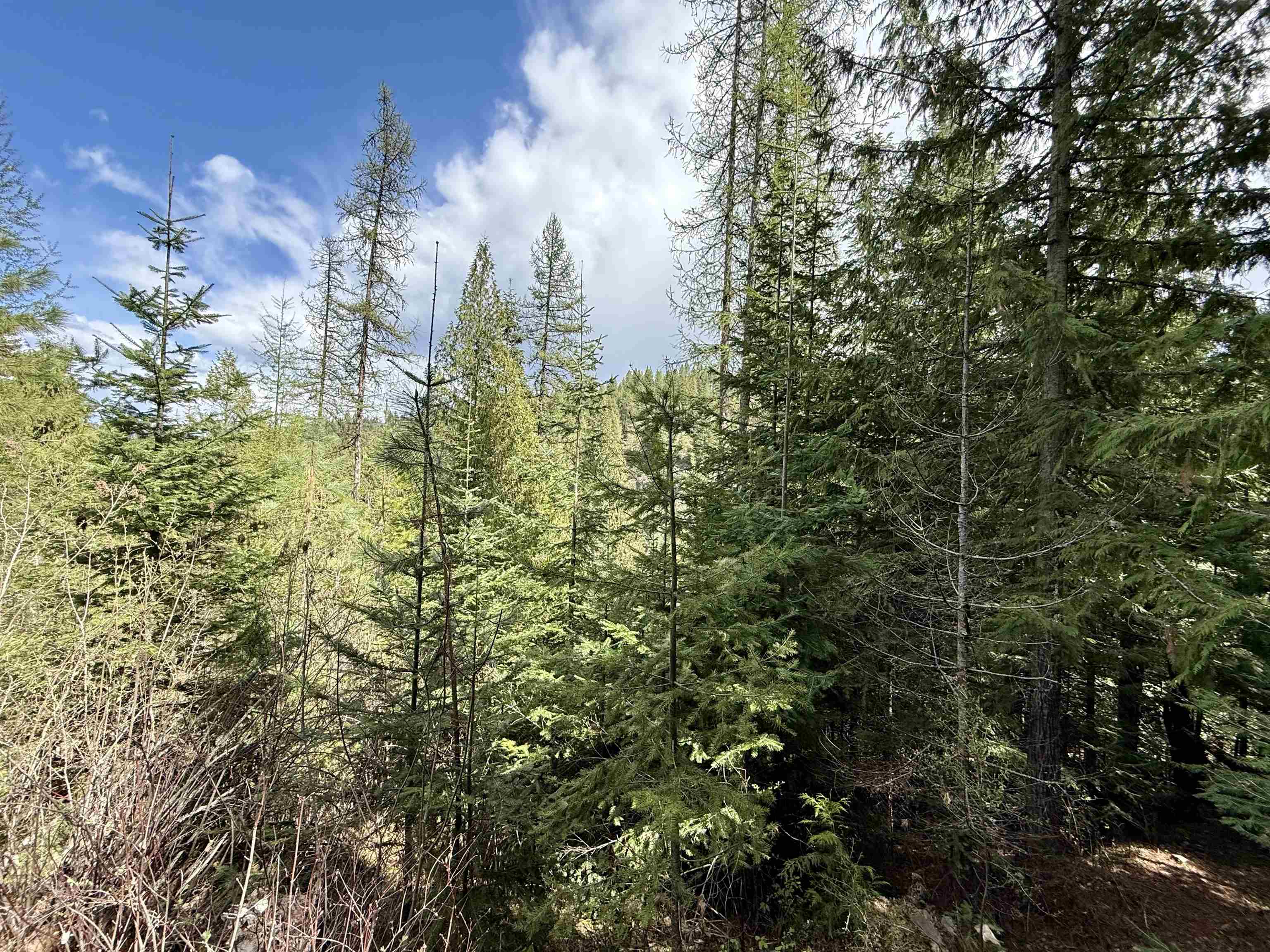 1264 McCloud Creek Rd - Photo 29