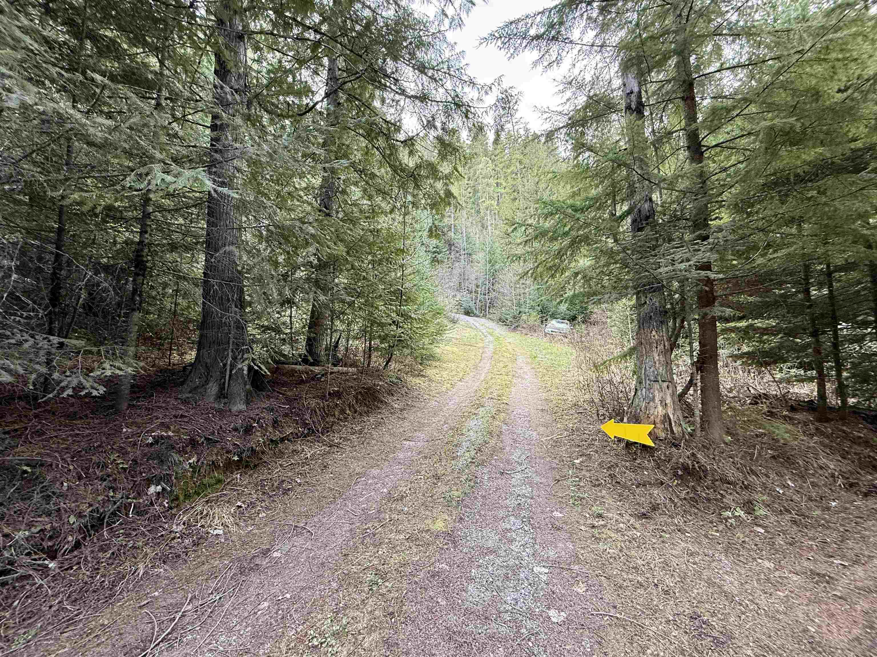 1264 McCloud Creek Rd - Photo 32