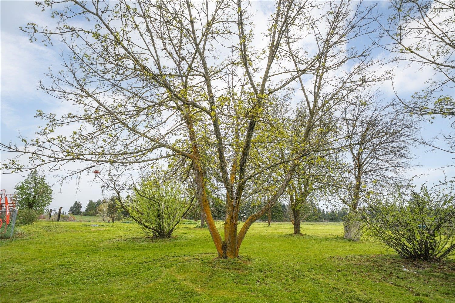 2105 W Borden Rd - Photo 36