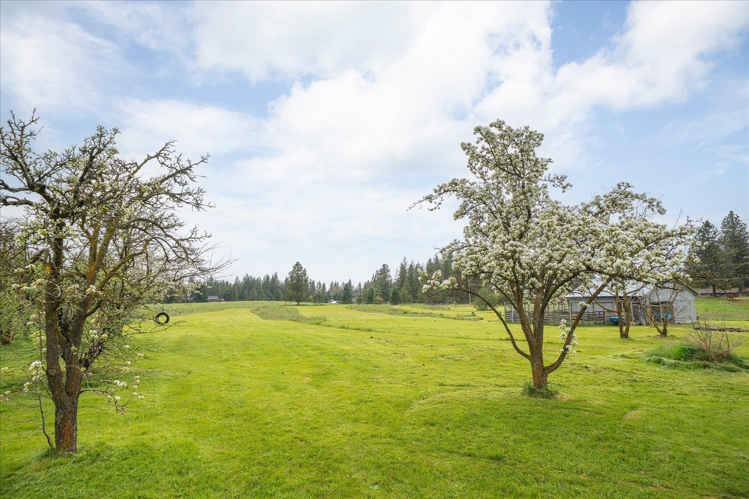 2105 W Borden Rd - Photo 37