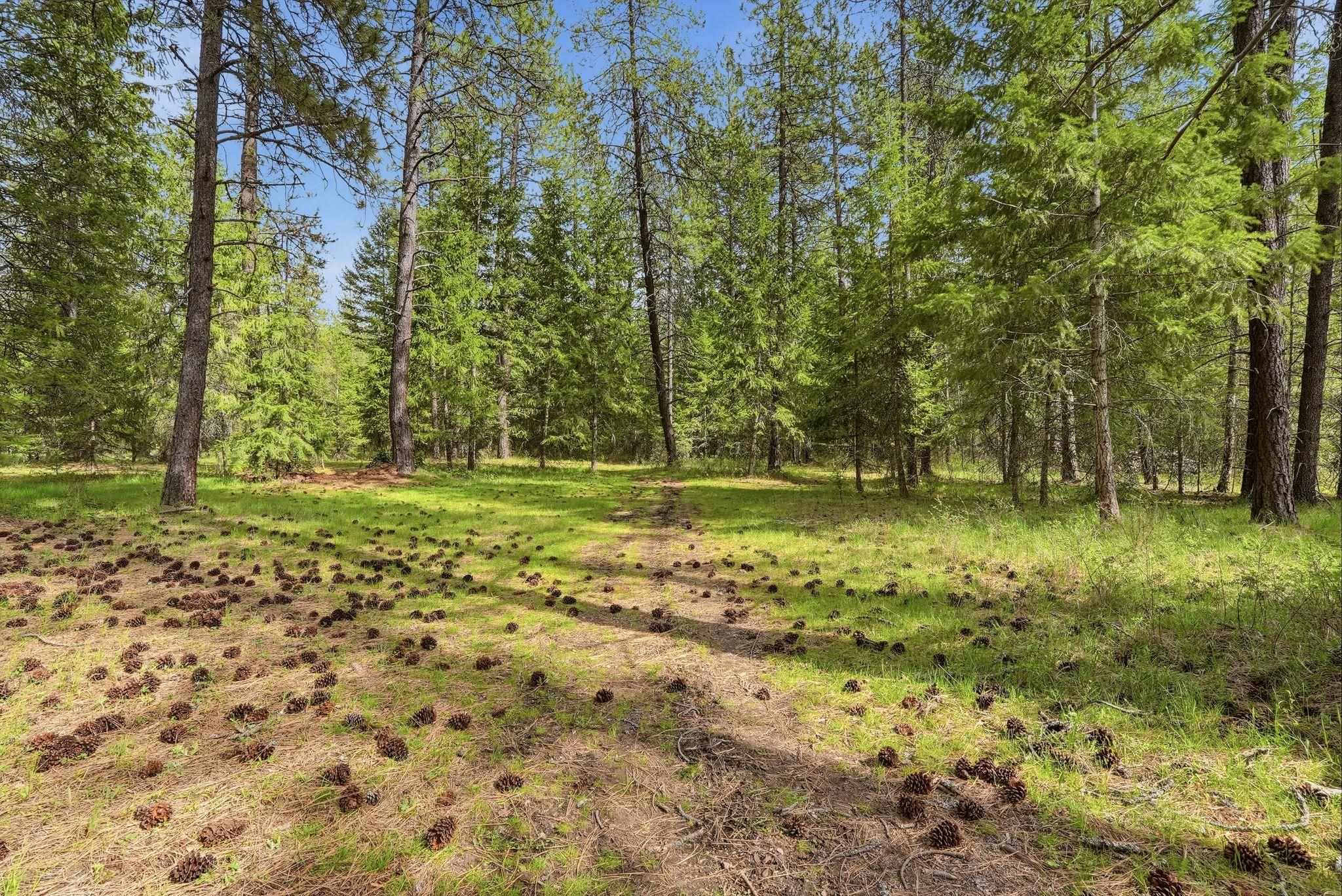 3734C N Deer Lake Rd - Photo 34