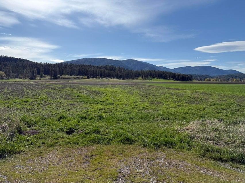 TBD Zimmer Rd - Photo 1