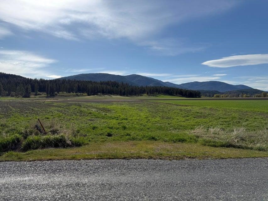 TBD Zimmer Rd - Photo 5