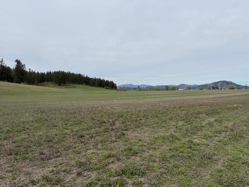 TBD Zimmer Rd - Photo 6