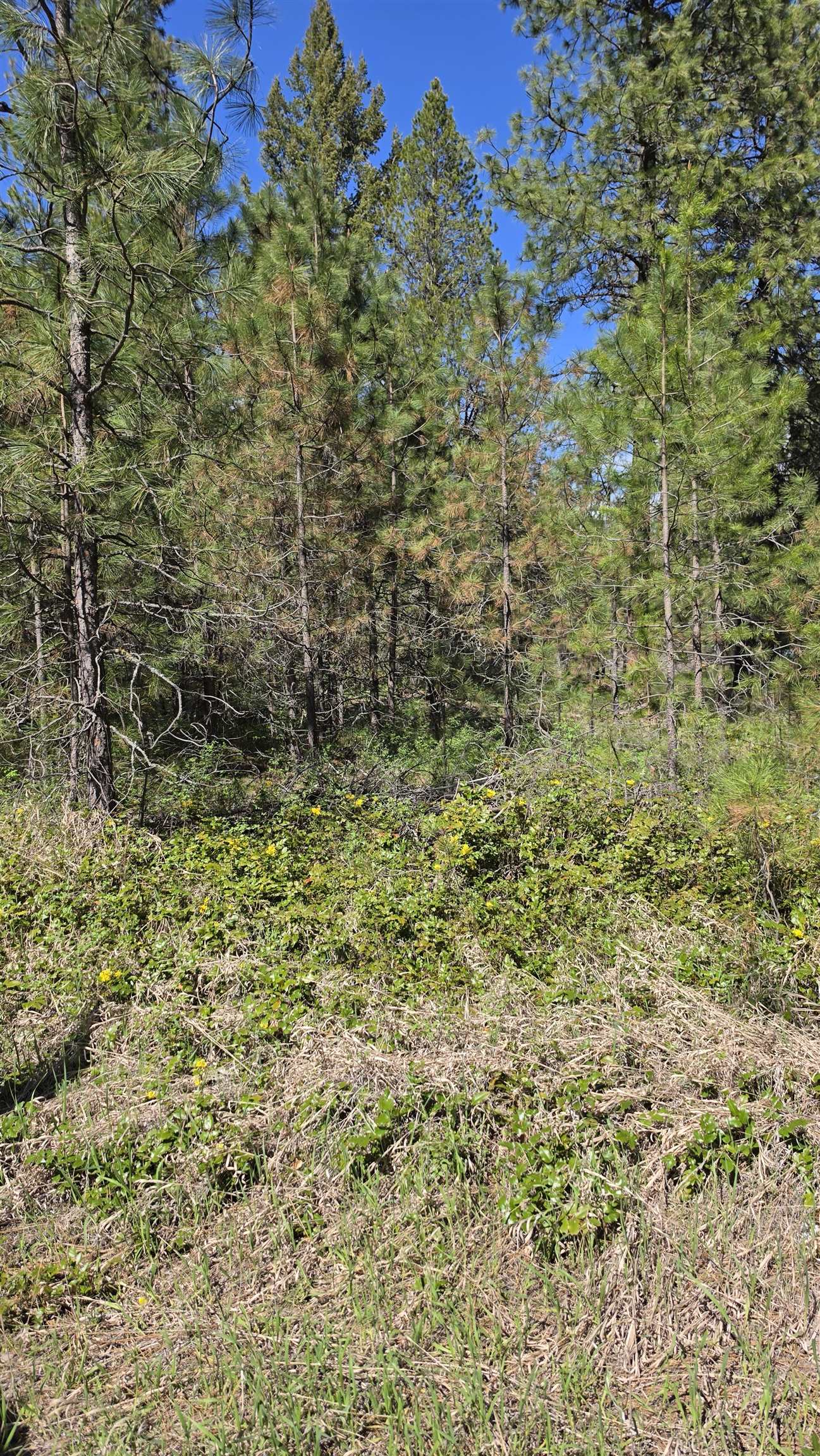 230XX N Crescent Rd - Photo 19