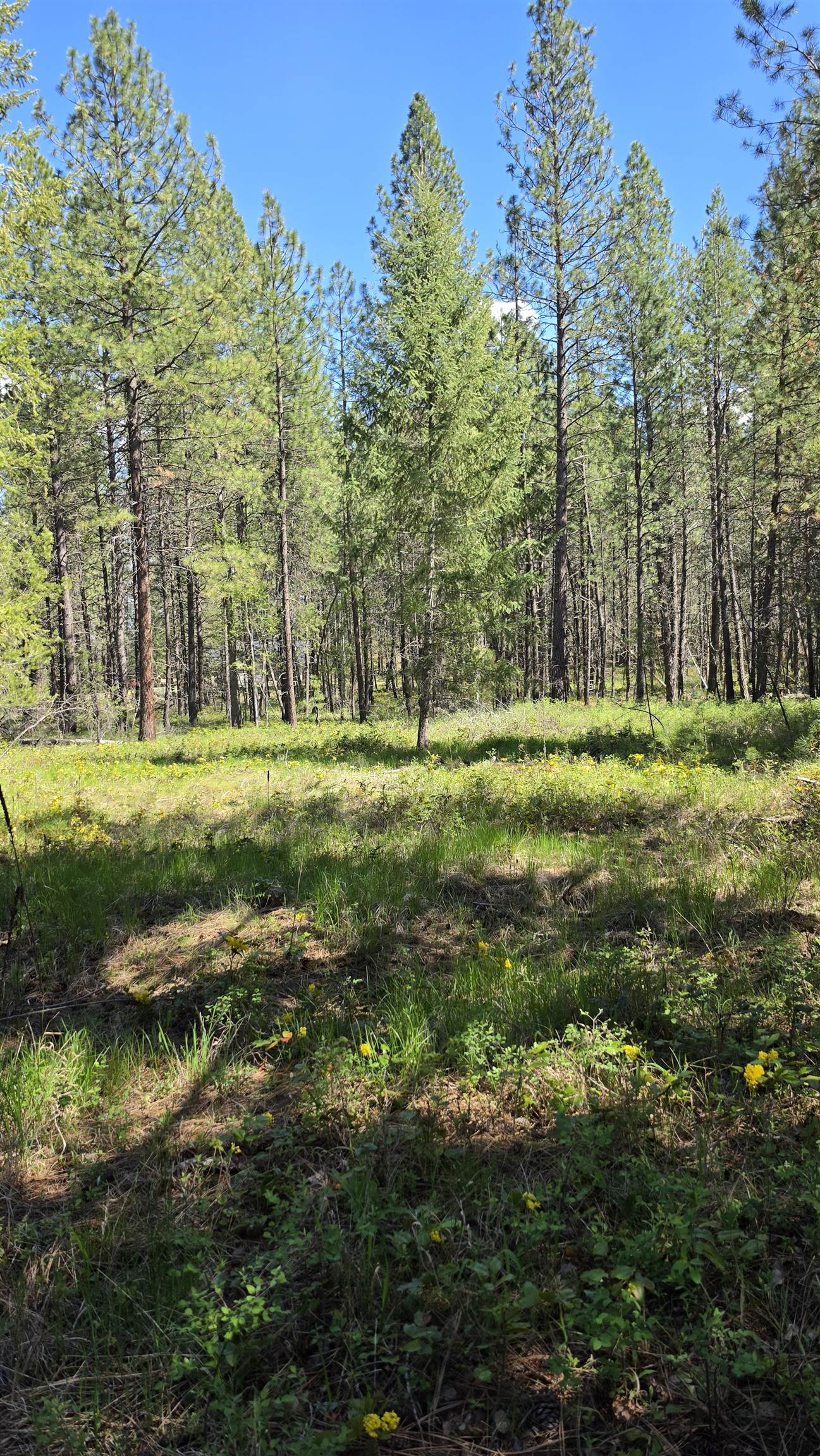 230XX N Crescent Rd - Photo 21