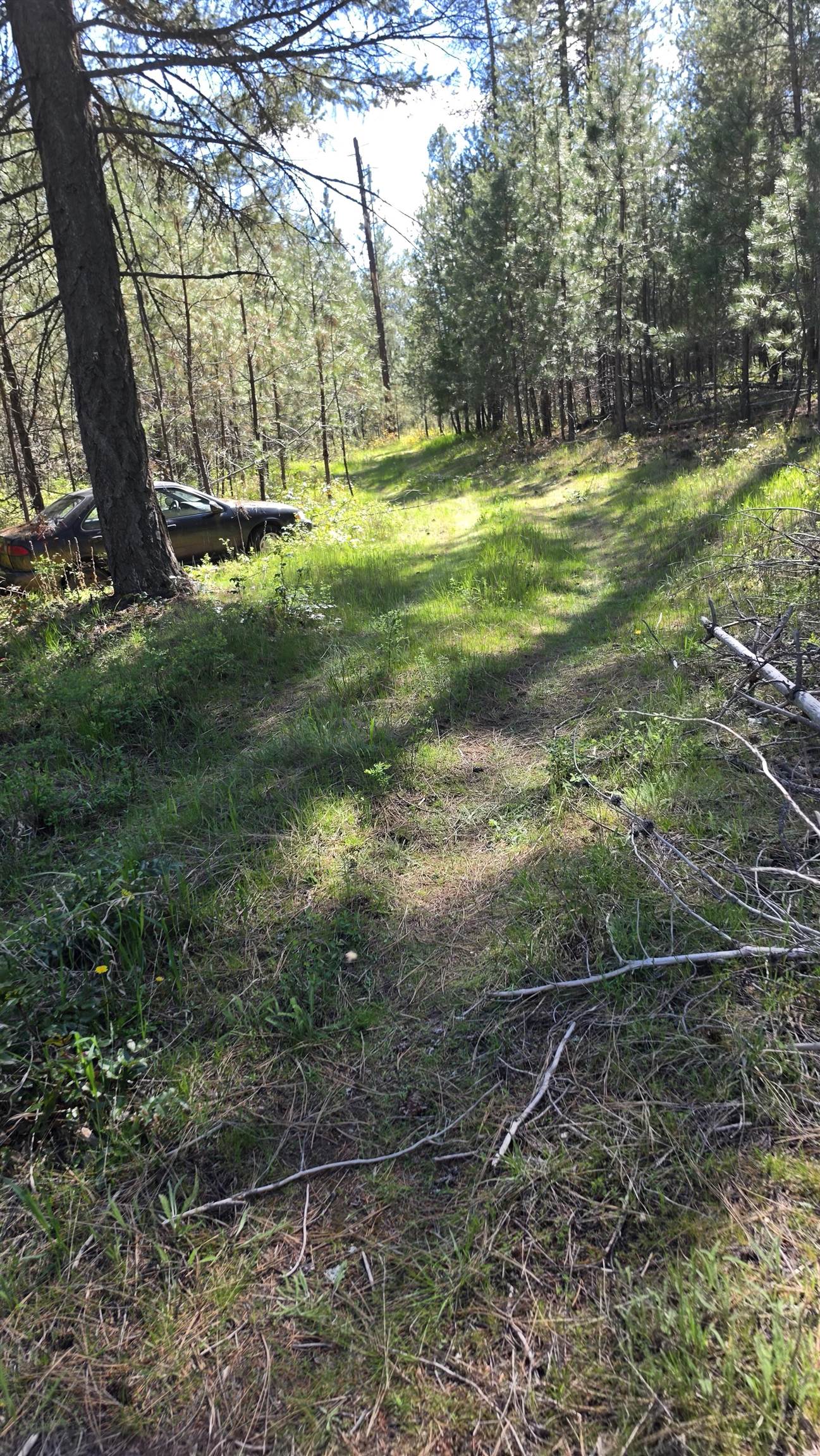 230XX N Crescent Rd - Photo 22